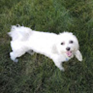 Meet your Posher, Valerie ld